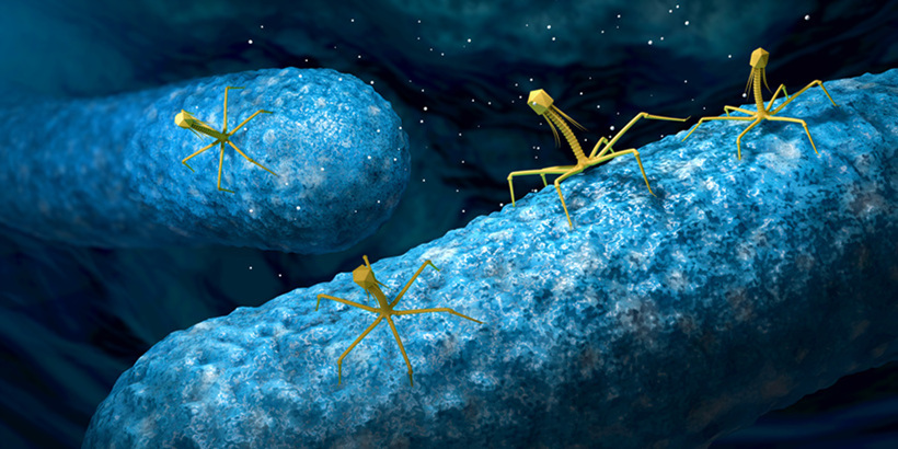 바이러스(Virus)의 정체는 무엇일까? - 바이러스를 막는 청결 방패 3종 세트 직접 만들기 -