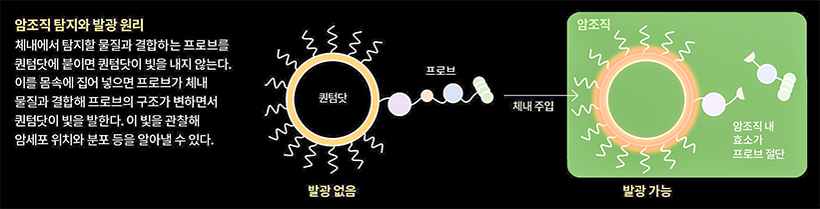 [퀀텀닷 완전정복] 제 3화 무한한 응용-② 고효율 태양전지 라이징 스타 퀀텀닷!