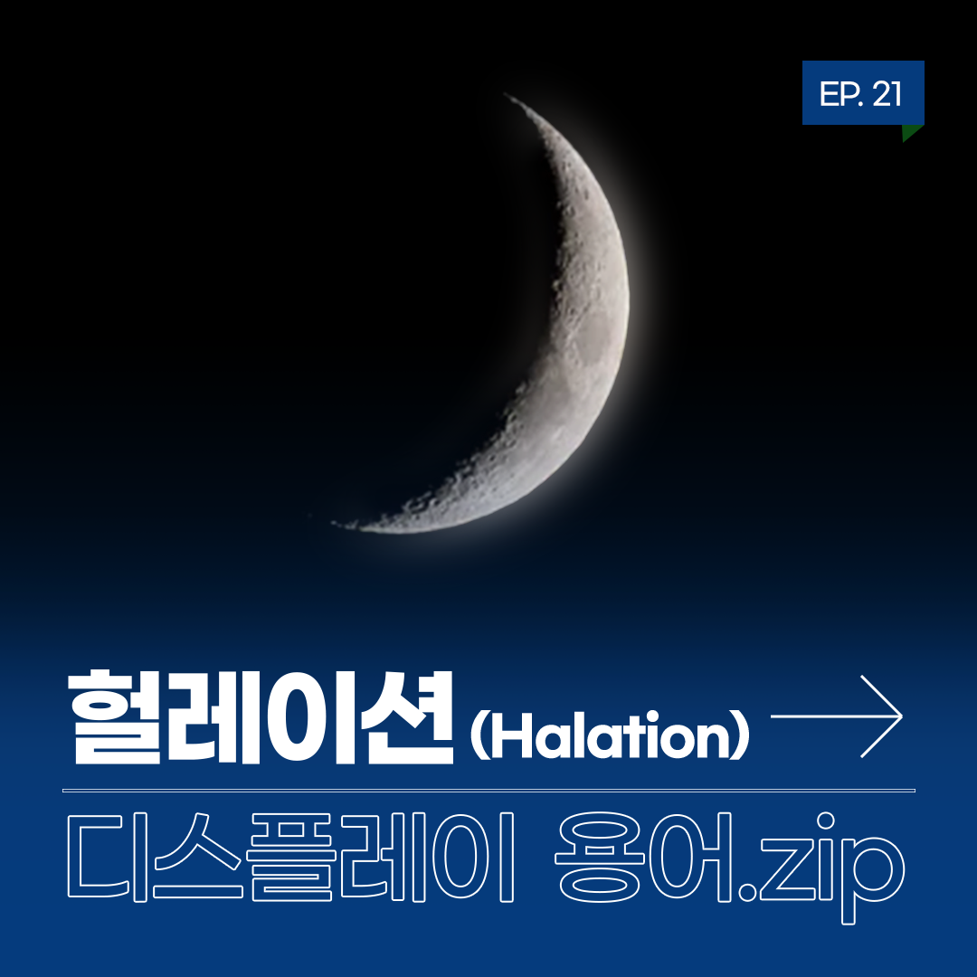 [디스플레이 용어.zip] EP.21 : 헐레이션 (Halation)