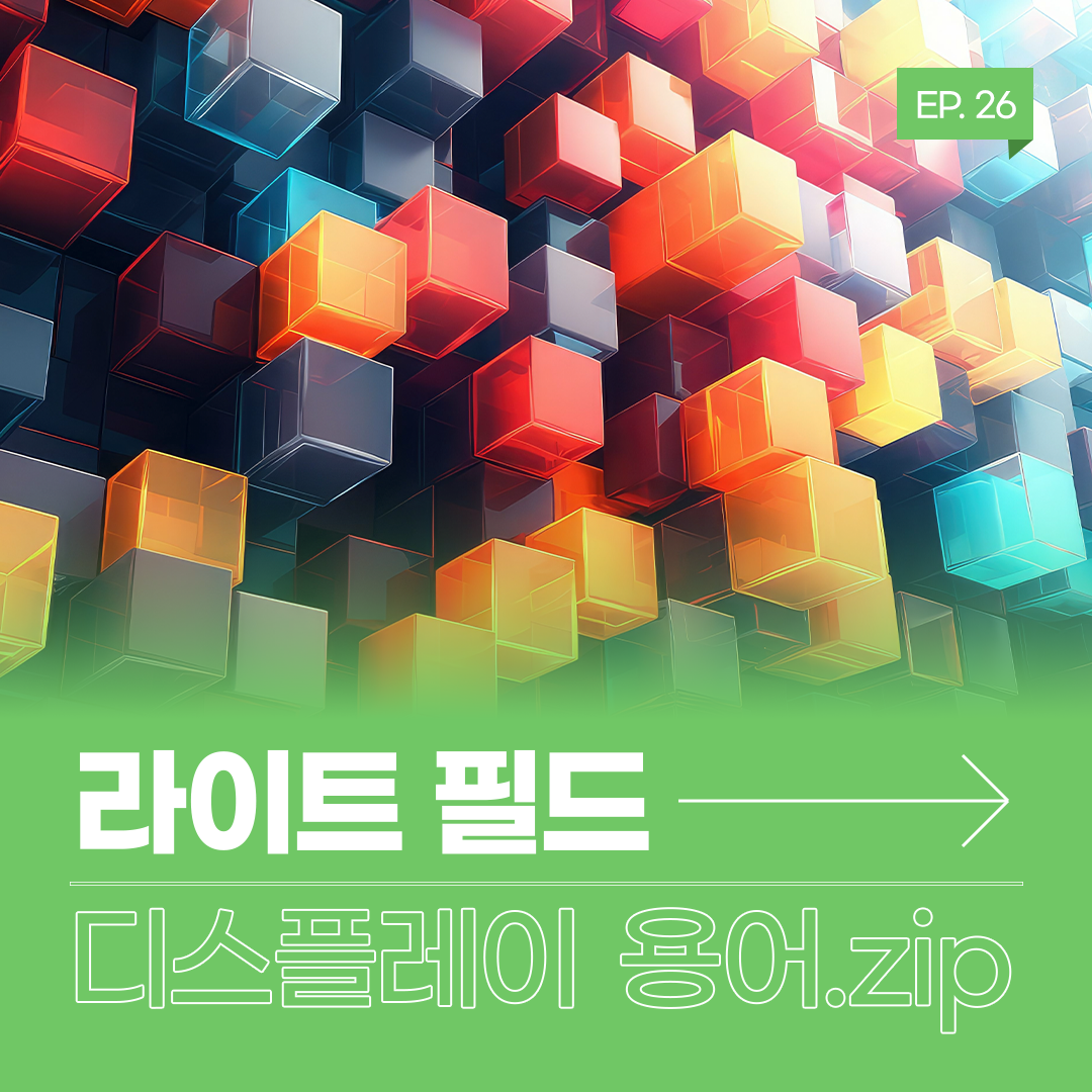 삼성디스플레이, Samsung Display, 디스플레이 용어, 디스플레이 용어.zip, 라이트 필드, 라이트 필드 디스플레이, Light Field, Light Field Display