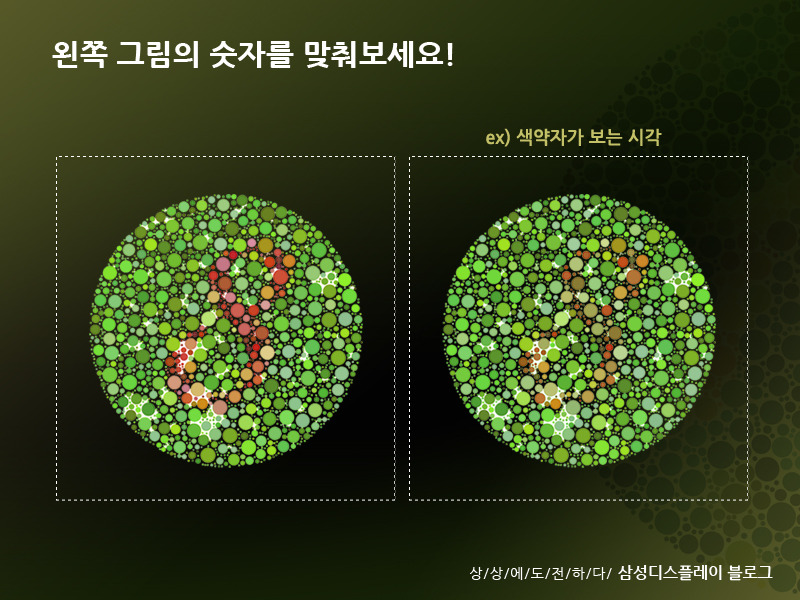 삼성 AMOLED가 특별한 이유 - ② 색약자를 위한 디스플레이